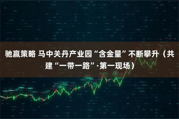 驰赢策略 马中关丹产业园“含金量”不断攀升（共建“一带一路”·第一现场）