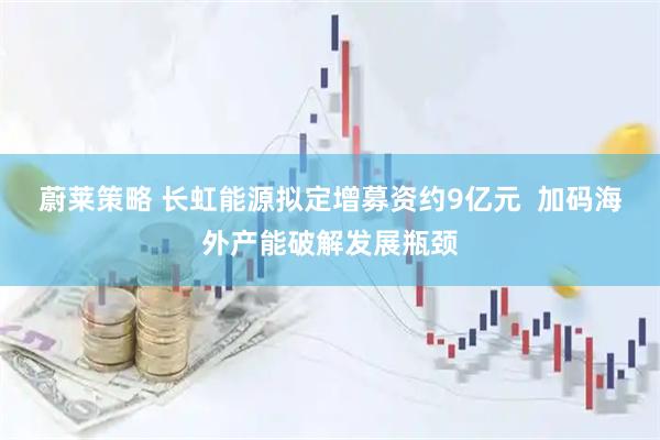 蔚莱策略 长虹能源拟定增募资约9亿元  加码海外产能破解发展瓶颈