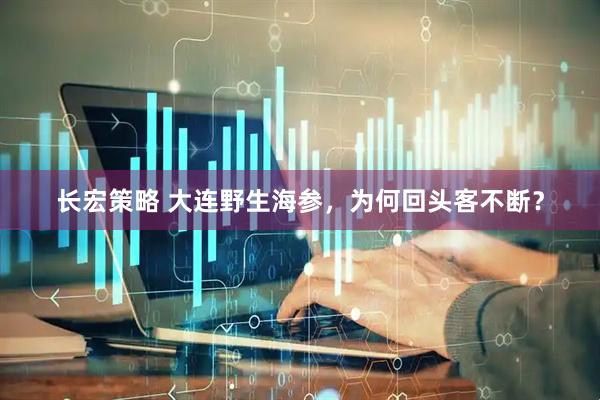 长宏策略 大连野生海参，为何回头客不断？