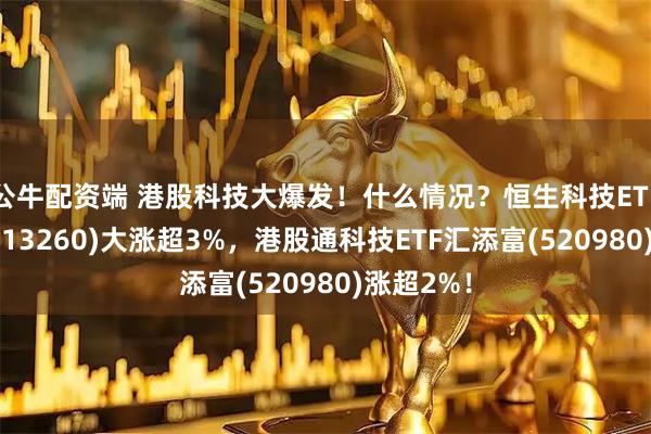 公牛配资端 港股科技大爆发!什么情况?恒生科技ETF汇添富(513260)大涨超3%,港股通科技ETF汇添富(520980)涨超2%!