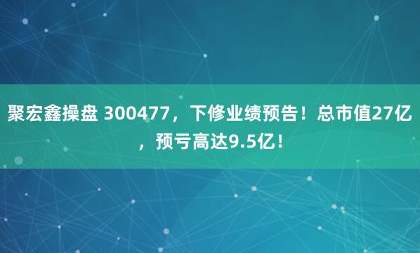 聚宏鑫操盘 300477，下修业绩预告！总市值27亿，预亏高达9.5亿！