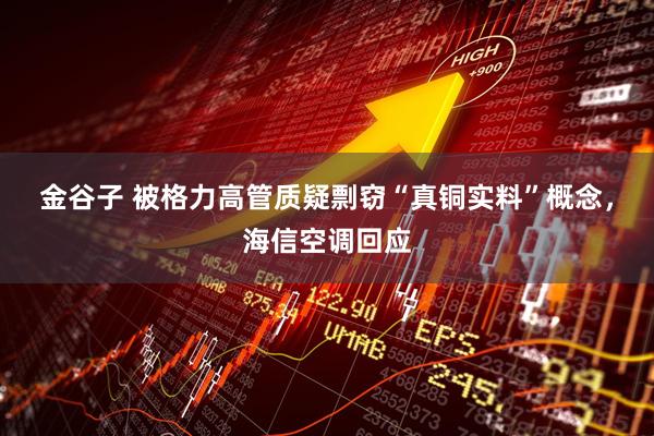 金谷子 被格力高管质疑剽窃“真铜实料”概念，海信空调回应
