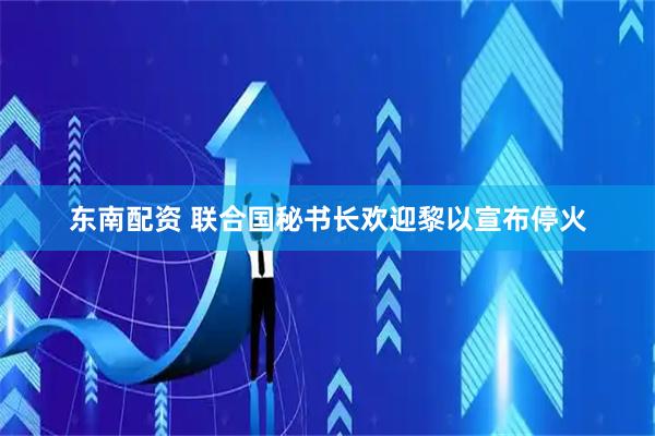 东南配资 联合国秘书长欢迎黎以宣布停火