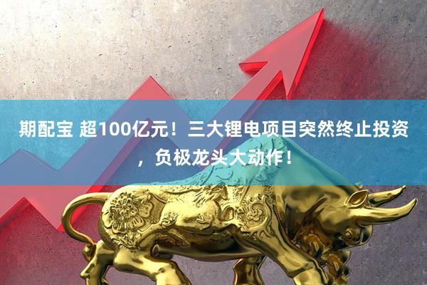 期配宝 超100亿元！三大锂电项目突然终止投资，负极龙头大动作！