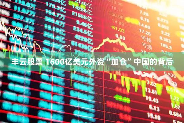 丰云股票 1600亿美元外资“加仓”中国的背后