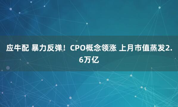 应牛配 暴力反弹!CPO概念领涨 上月市值蒸发2.6万亿